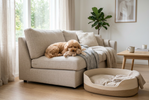 Waarom wil mijn hond niet in zijn mand slapen? (oorzaken & oplossingen)