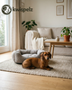 Waarom wil je hond niet in zijn mand liggen overdag?