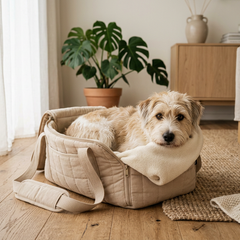 Collection image for: Onderweg & vervoer