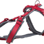 S 36-44X1,5 CM (410361)